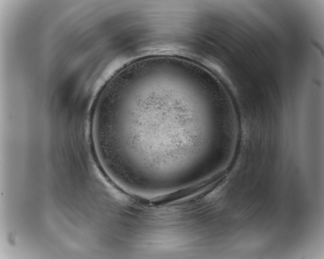 X0000099501424200805151420