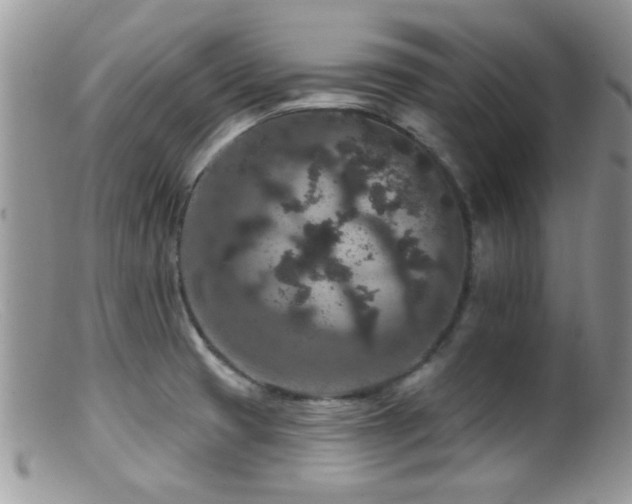 X0000099501425200805151420