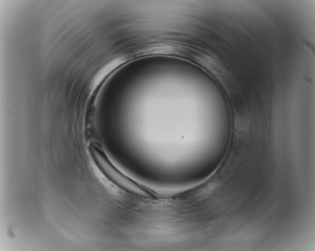 X0000099501426200805151420
