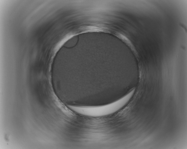 X0000099501427200805151420