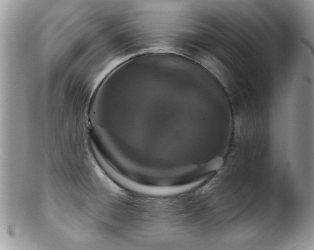 X0000099501428200805151420