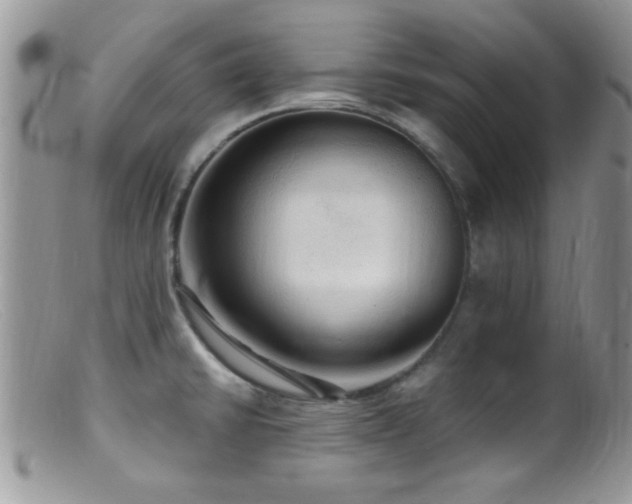 X0000099501430200805151420