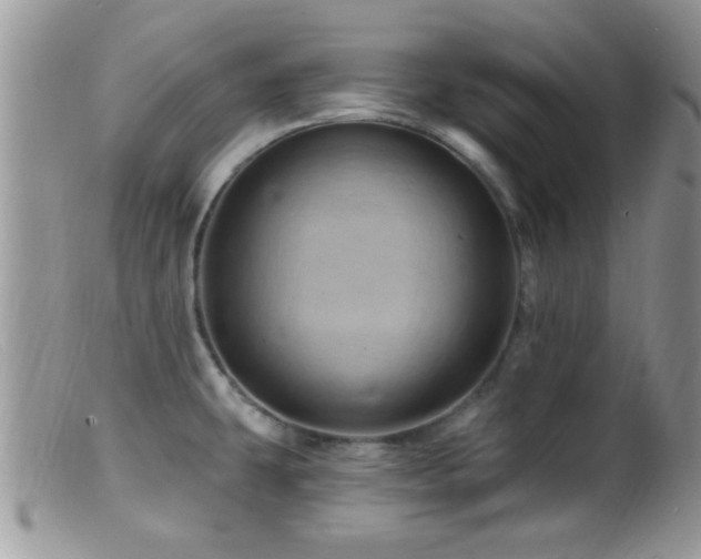 X0000099501431200805151420