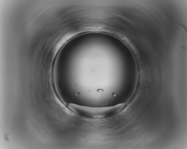 X0000099501432200805151420