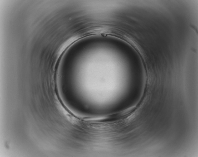 X0000099501434200805151420