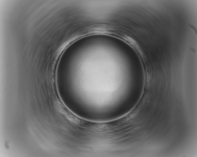 X0000099501435200805151420