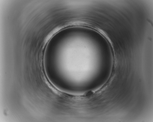 X0000099501437200805151420