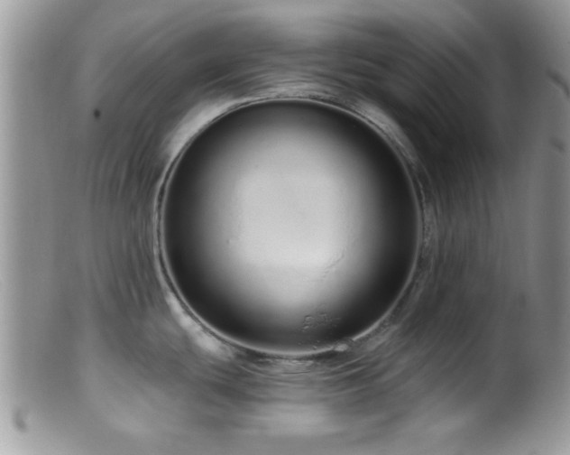 X0000099501439200805151420