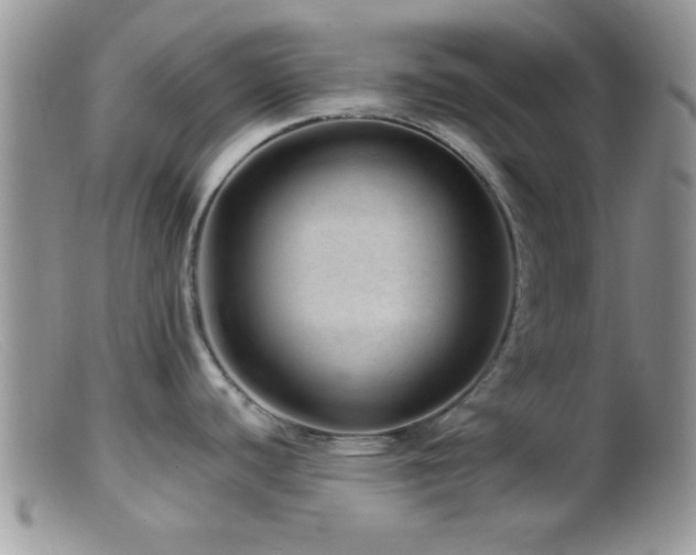 X0000099501440200805151420