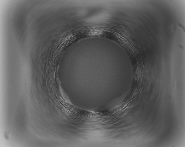 X0000099501441200805151420