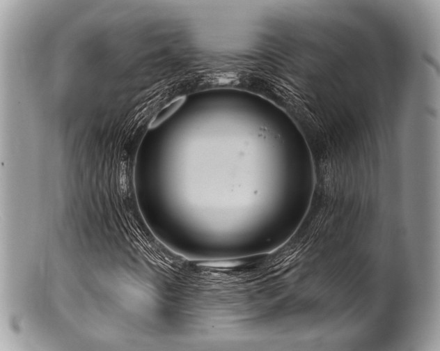 X0000099501442200805151420