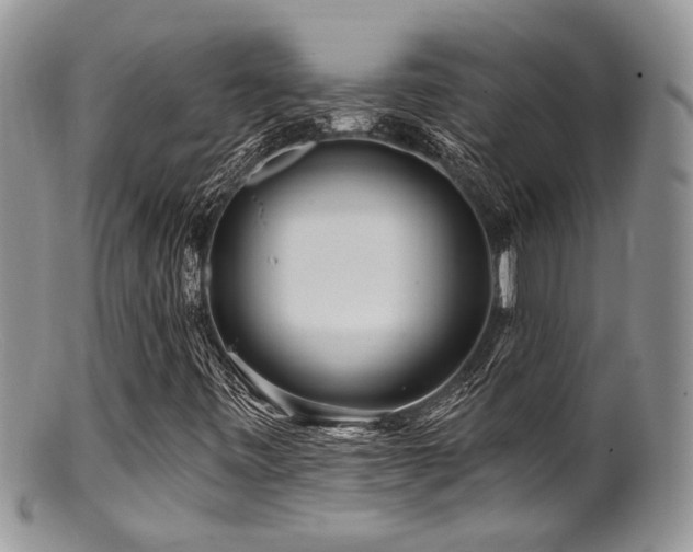 X0000099501443200805151420