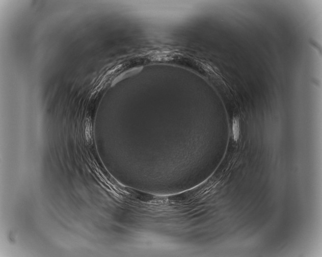 X0000099501444200805151420