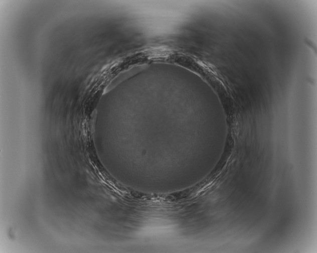 X0000099501445200805151420