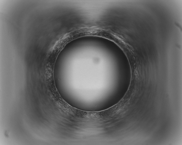 X0000099501447200805151419