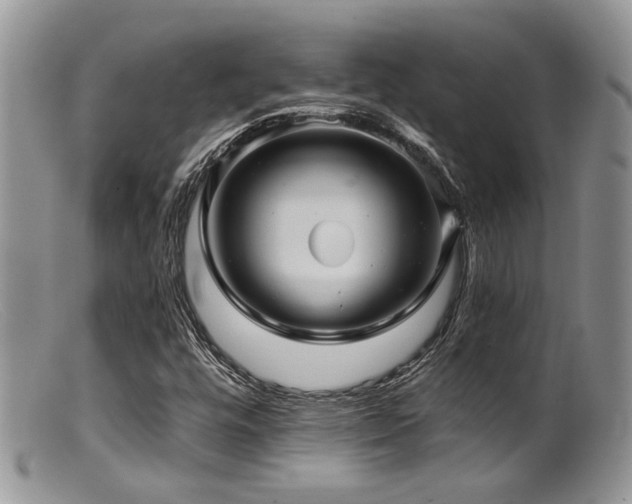X0000099501448200805151419