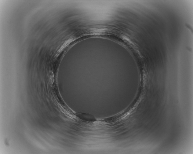 X0000099501449200805151419