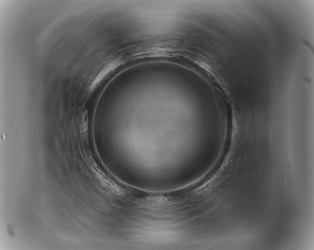 X0000099501450200805151419