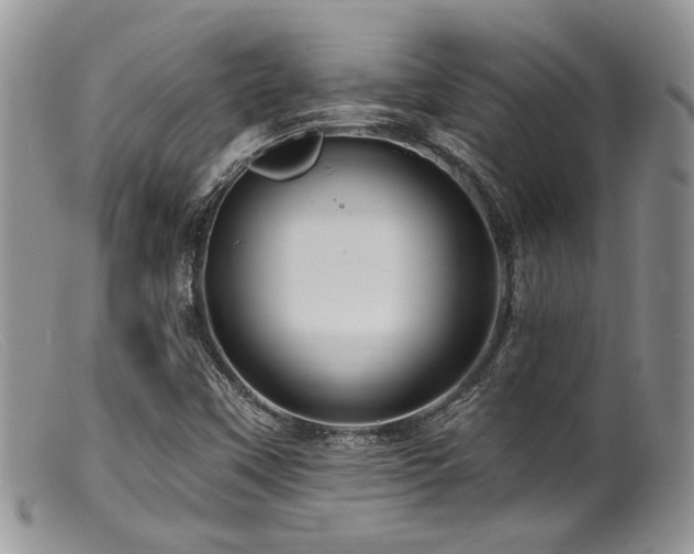 X0000099501451200805151419