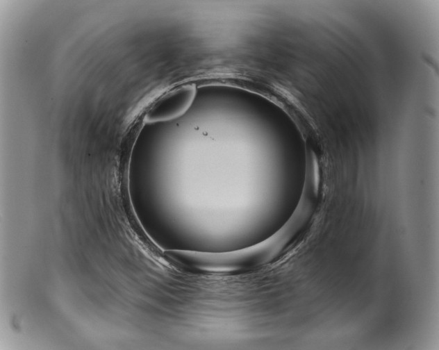 X0000099501452200805151419