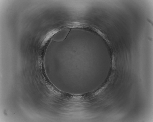 X0000099501453200805151419