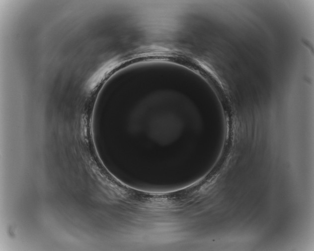 X0000099501455200805151419