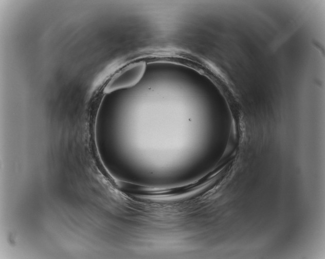 X0000099501456200805151419