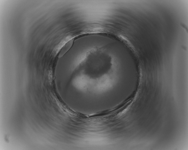 X0000099501457200805151419