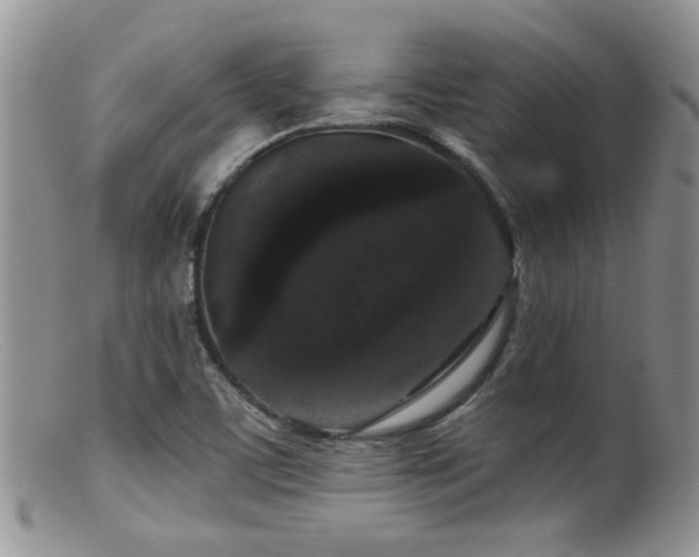 X0000099501459200805151419