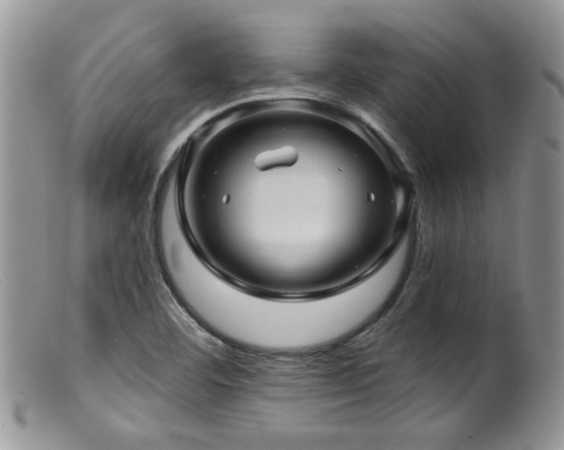 X0000099501460200805151419