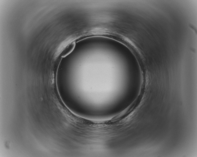 X0000099501461200805151419