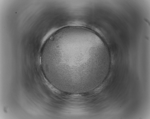 X0000099501462200805151419