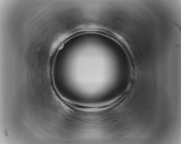 X0000099501464200805151419