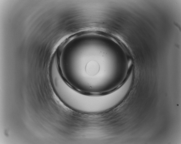 X0000099501468200805151419