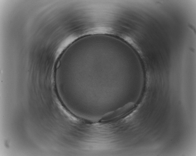 X0000099501469200805151419