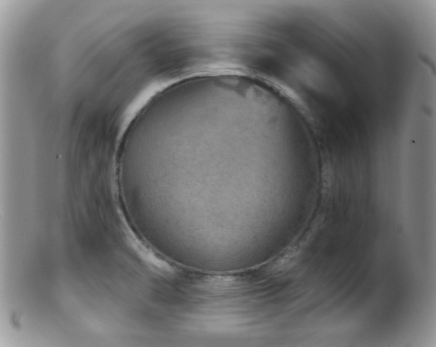 X0000099501470200805151419