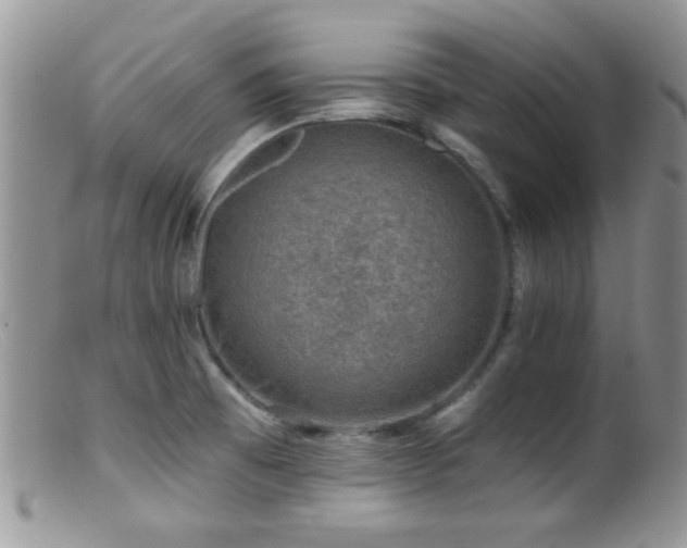 X0000099501473200805151419