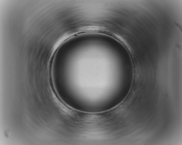 X0000099501475200805151419