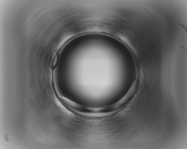 X0000099501476200805151419