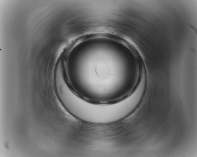 X0000099501477200805151419