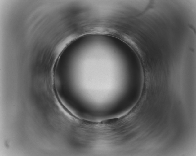 X0000099501479200805151419