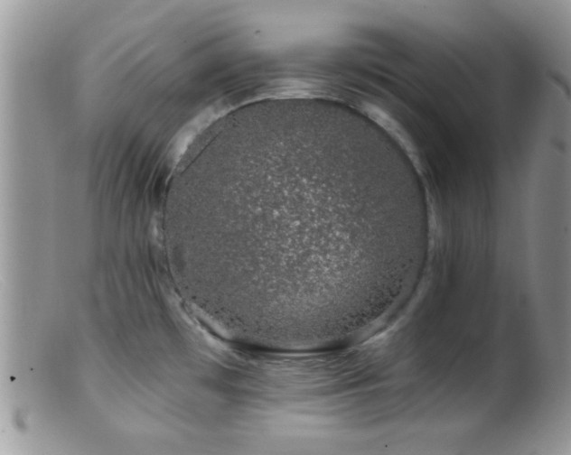 X0000099501481200805151419