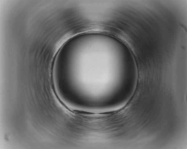 X0000099501483200805151419