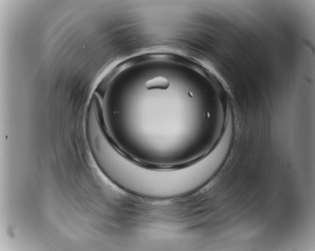 X0000099501484200805151419