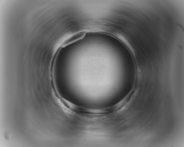 X0000099501485200805151419