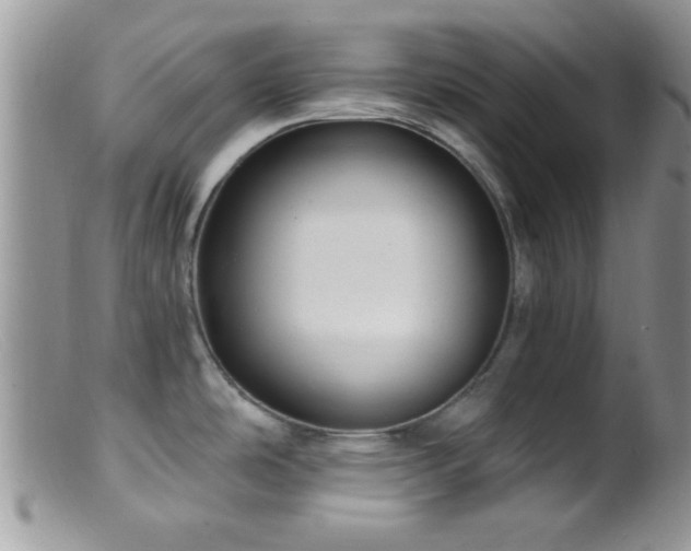 X0000099501486200805151419