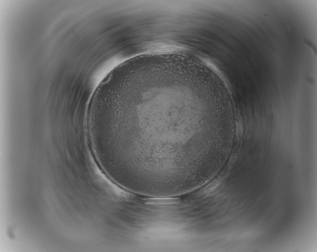 X0000099501487200805151419