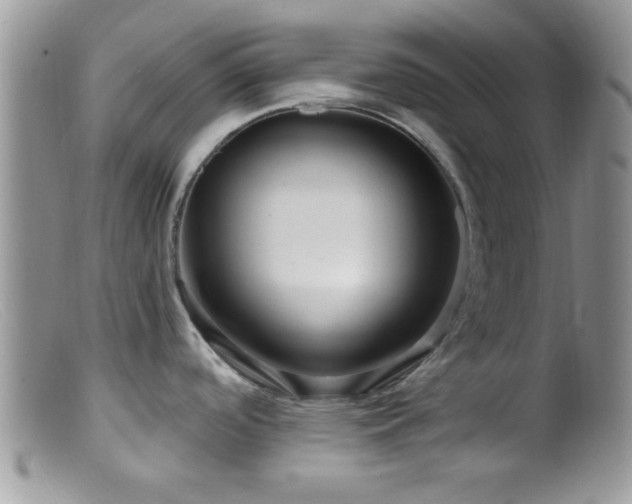 X0000099501488200805151419
