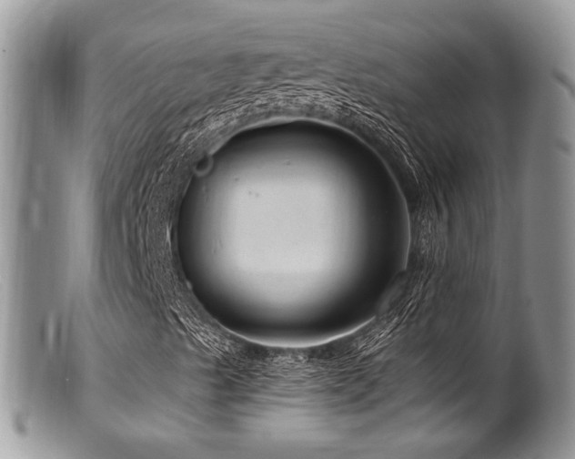 X0000099501489200805151418