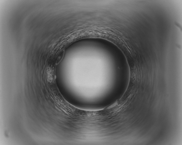 X0000099501490200805151418